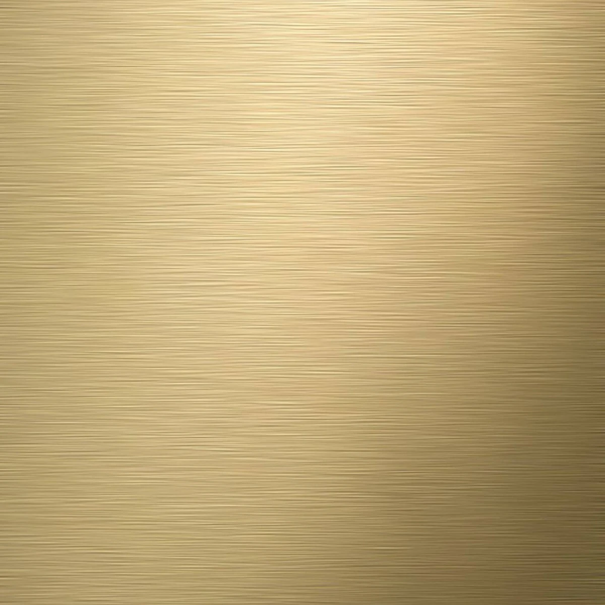 Tiger Tune Toiletaccessoires 3st. Incl. WC/Toilet Borstel, Rolhouder & Handdoekhaak - Messing/Zwart - Afbeelding 3